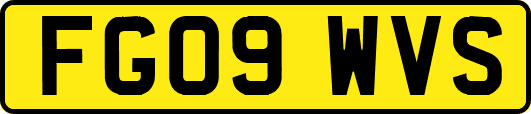 FG09WVS