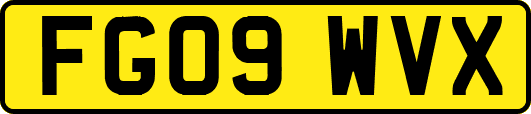 FG09WVX