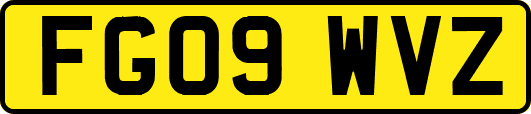 FG09WVZ