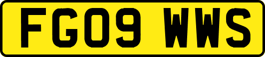 FG09WWS
