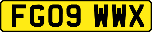 FG09WWX