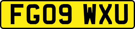 FG09WXU