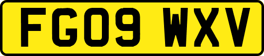 FG09WXV