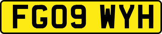FG09WYH