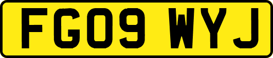FG09WYJ