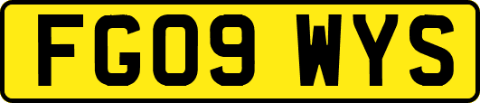 FG09WYS