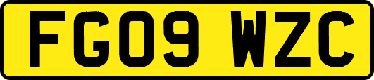 FG09WZC