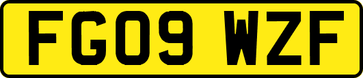 FG09WZF