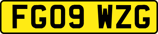 FG09WZG