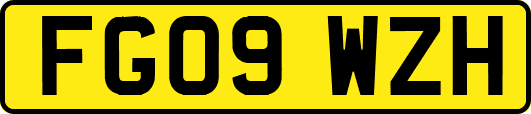 FG09WZH