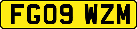 FG09WZM