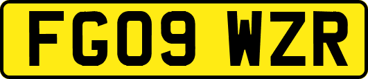 FG09WZR