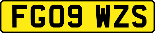 FG09WZS