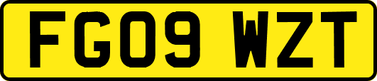 FG09WZT