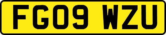 FG09WZU