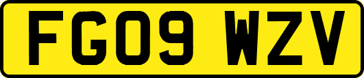 FG09WZV