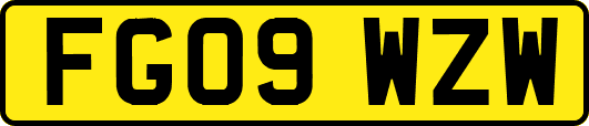 FG09WZW