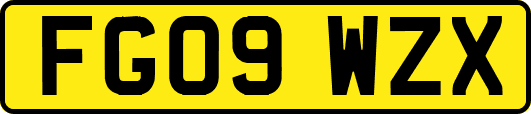 FG09WZX