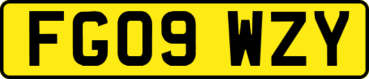 FG09WZY
