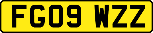 FG09WZZ