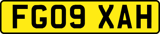 FG09XAH
