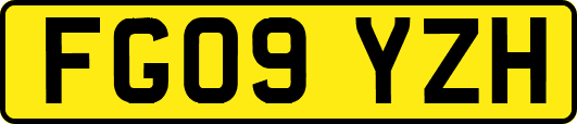 FG09YZH
