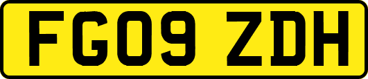 FG09ZDH