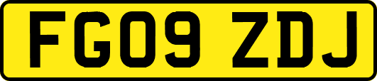FG09ZDJ