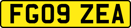 FG09ZEA