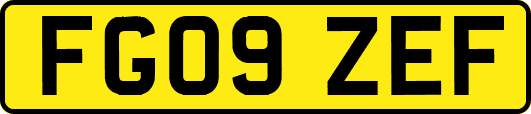 FG09ZEF