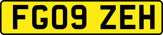 FG09ZEH
