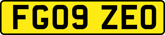 FG09ZEO