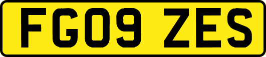 FG09ZES