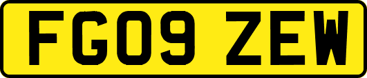FG09ZEW