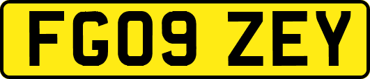 FG09ZEY