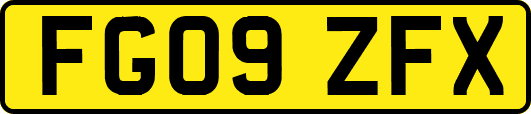 FG09ZFX