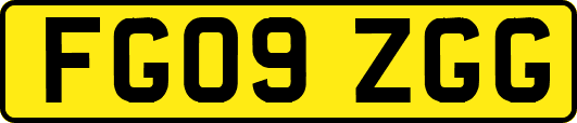 FG09ZGG