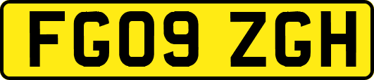FG09ZGH