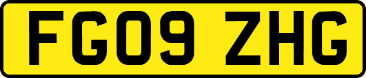 FG09ZHG