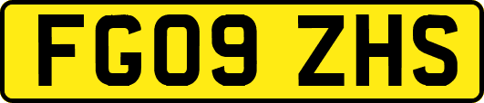 FG09ZHS