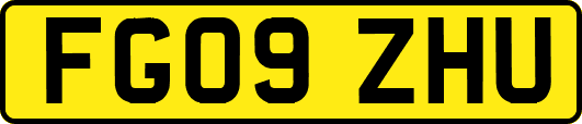 FG09ZHU