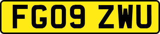 FG09ZWU