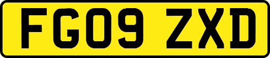 FG09ZXD