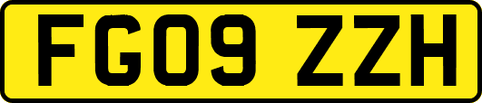 FG09ZZH