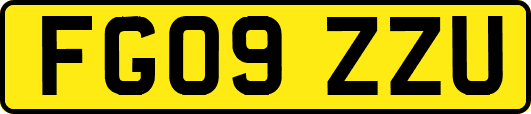 FG09ZZU