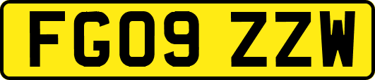 FG09ZZW