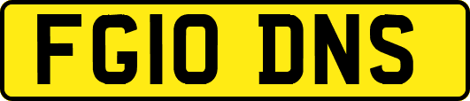 FG10DNS
