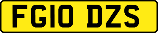 FG10DZS
