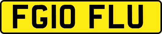 FG10FLU