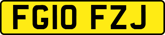FG10FZJ
